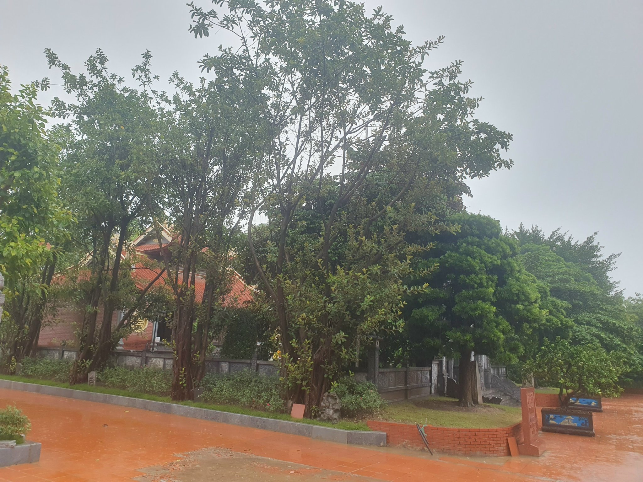 nha-go-o-thuy-nguyen-hp (1).jpg